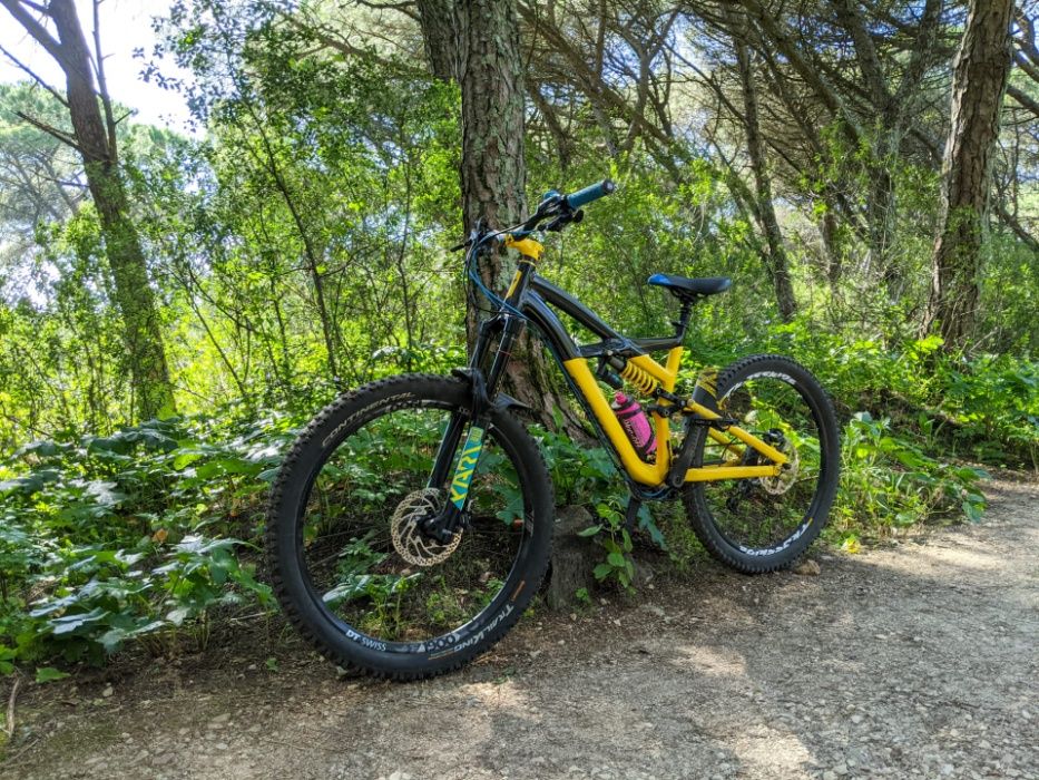 specialized enduro EVO