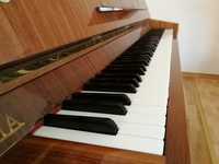 Pianino Calisia Nokturn 105