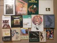 24 książki zwierzęta, Albumy o zwierzętach, wychowanie, nauczanie