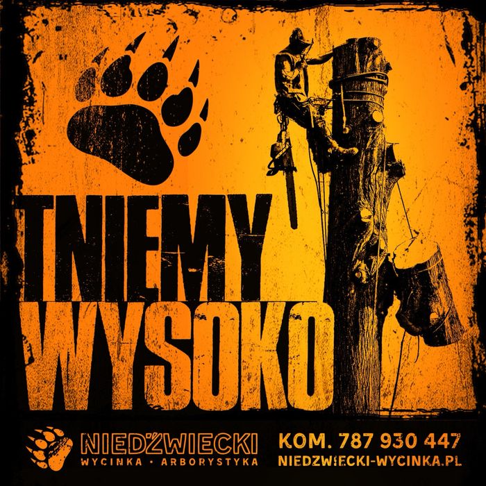 Wycinka drzew - WYSOKOŚCIOWA, drwal, przycinanie, pielęgnacja drzew