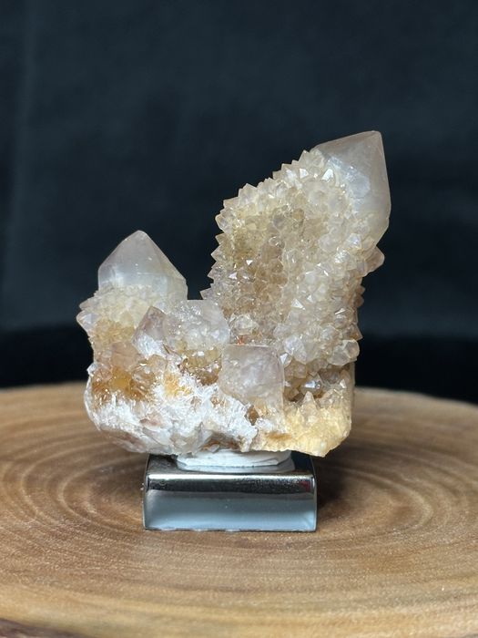 Kwarc kaktusowy, limonit - RPA