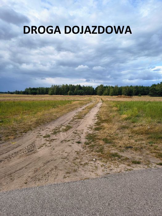 Twój kawałek lasu! 1,88 ha natury z szybkim dojazdem do A2 i Łowicza