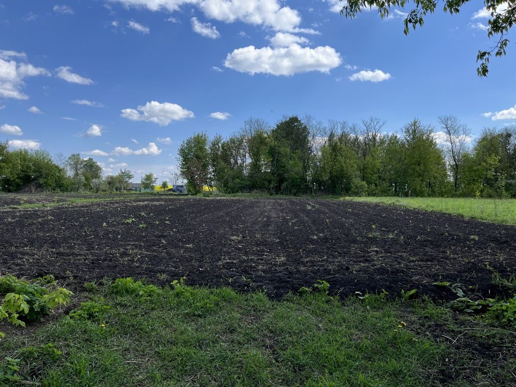 Продаж будинку, нерухомість, житловий будикон