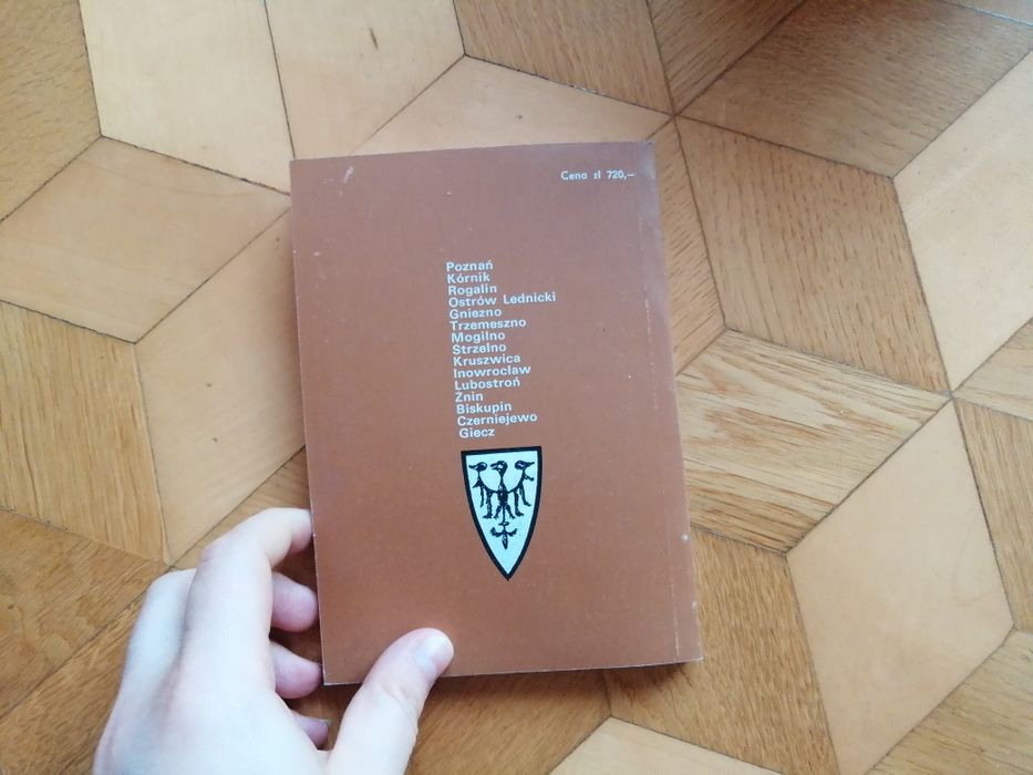 W. Łęcki - Na piastowskim szlaku