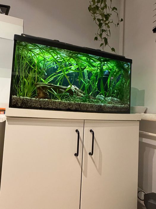 AKWARIUM 112L 80x35x40