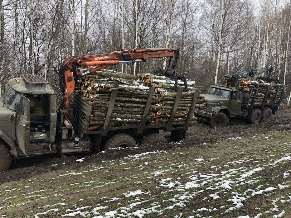 Продам дрова паливні (опт)