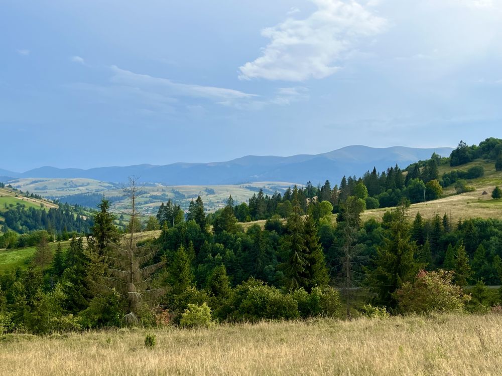 Земельна ділянка у Карпатах