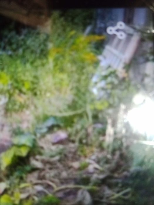 Земельный участок