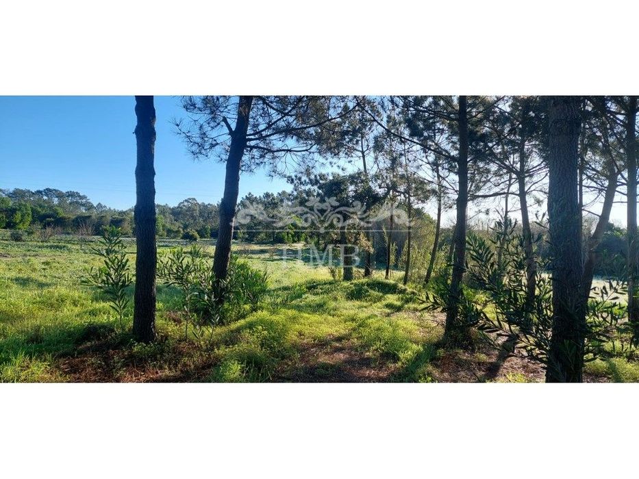 Terreno em Rogil - Aljezur com 11.640m2