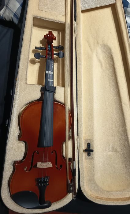 Violino 4/4 + Arco + Estojo + Suporte Wolf — Completo (falta 1 corda)