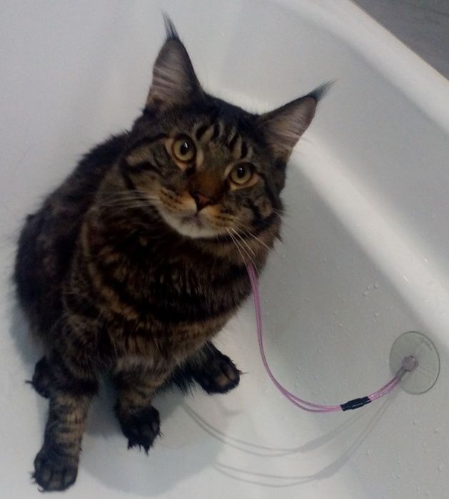 Привязь для ванной для купания котов и собак - 43 см.