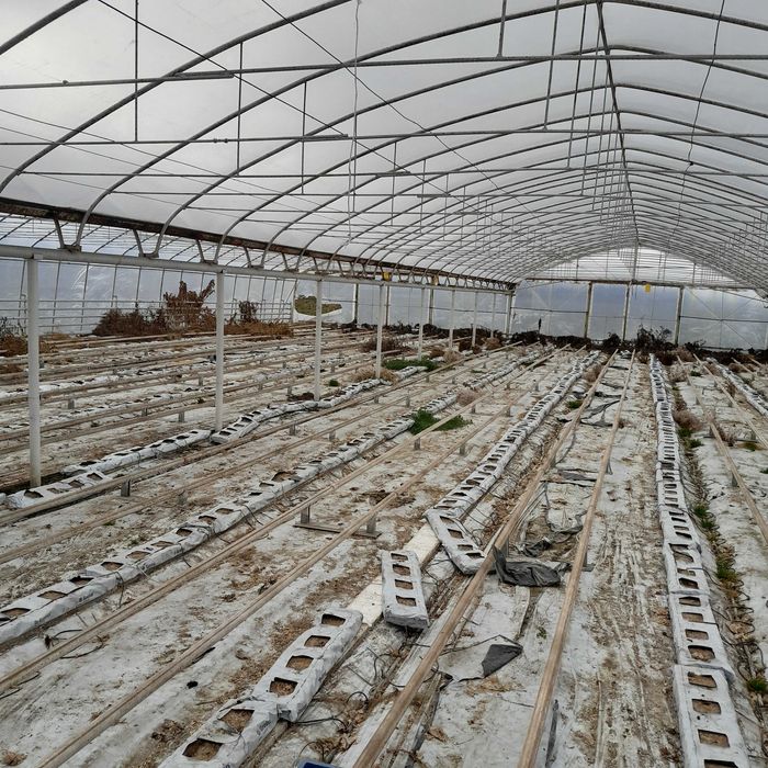 Tunel foliowy zblokowany