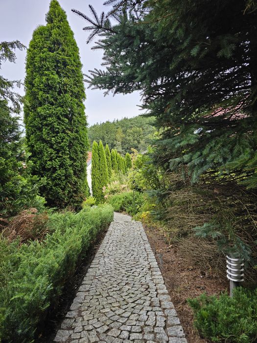 Projektowanie, realizacja oraz pielęgnacja ogrodów!