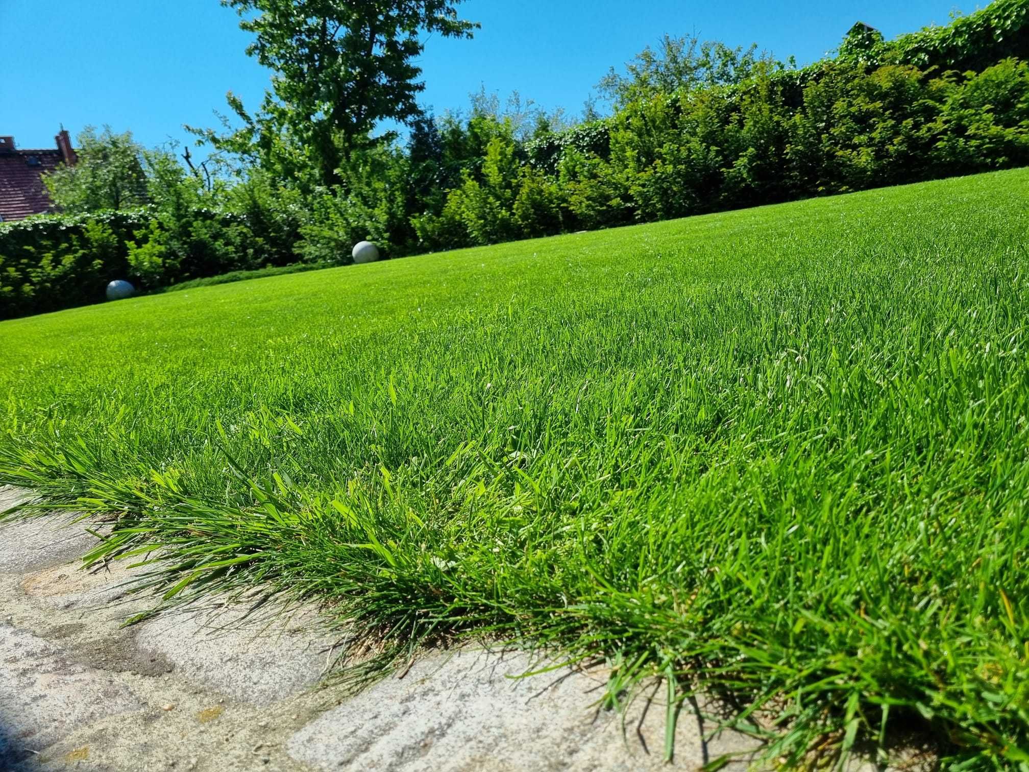 Ogrodnik, prace ogrodnicze, przycinanie drzew krzewów, koszenie trawy