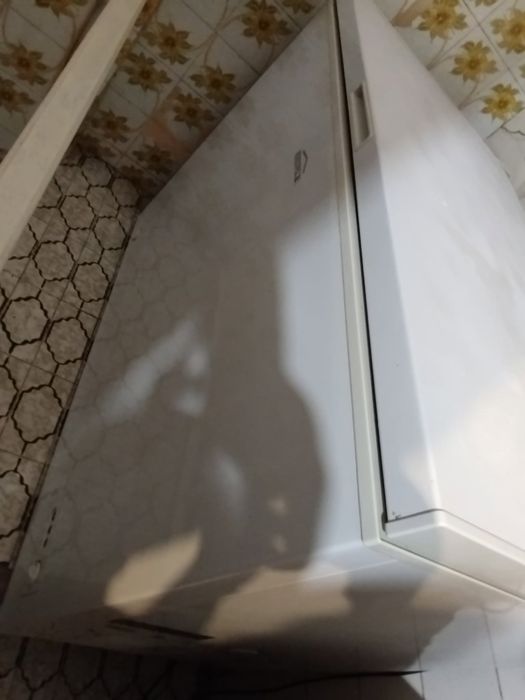 Arca congeladora Eletronia