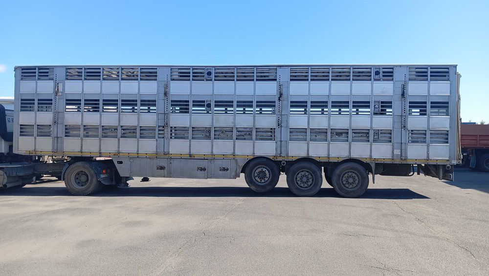 Напівпричіп для перевезення живих тварин Pezzaioli SBA63