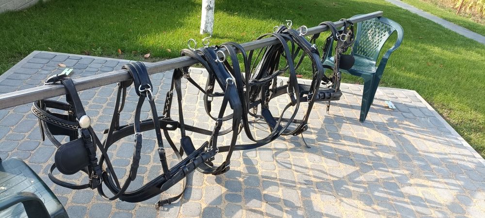 Uprząż parokonna skóra szory puszorki dla konia