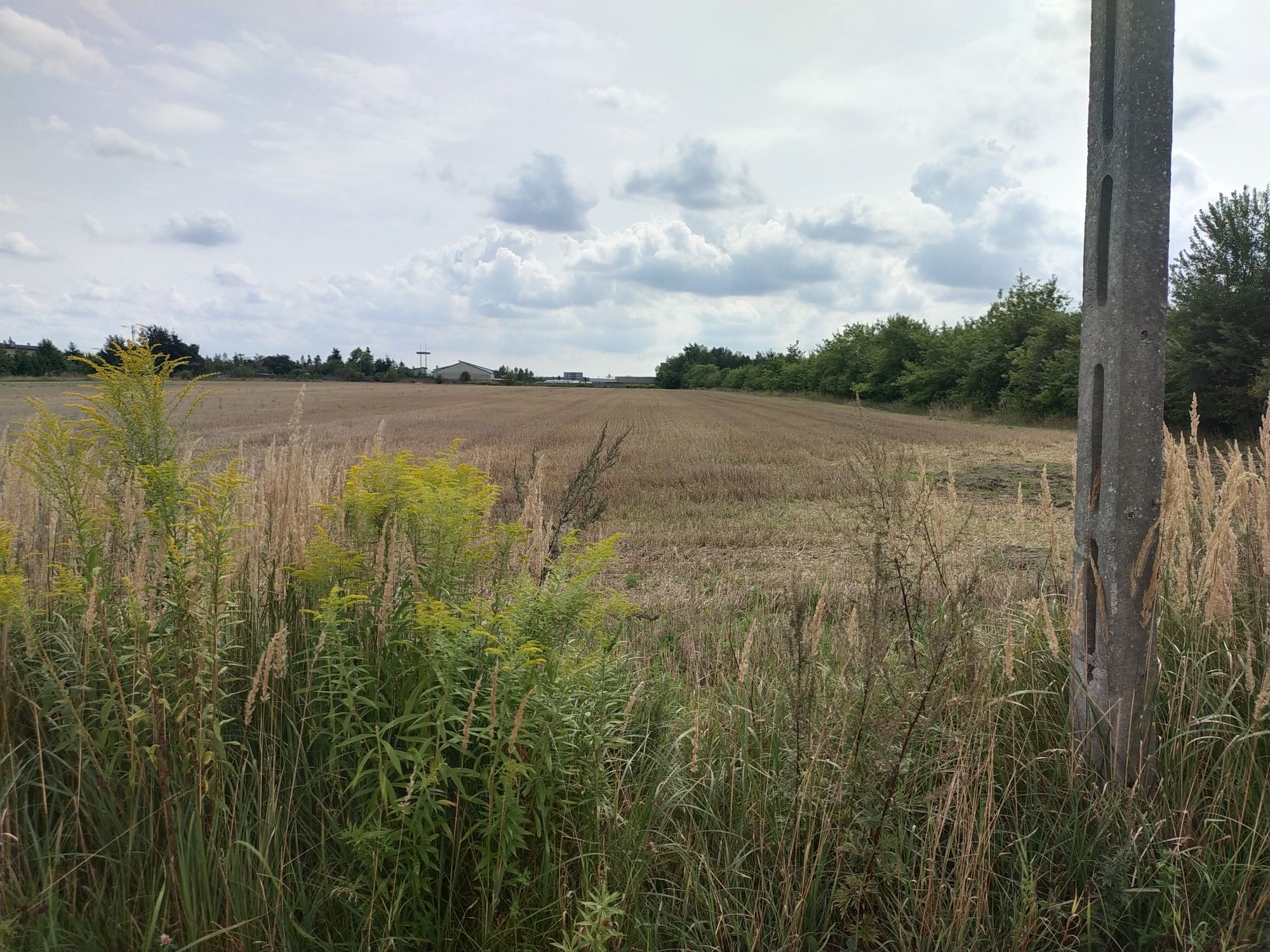 Sprzedam działkę  inwestycyjną.. jest w Rzgowie ul.Reja16631m mieszkan