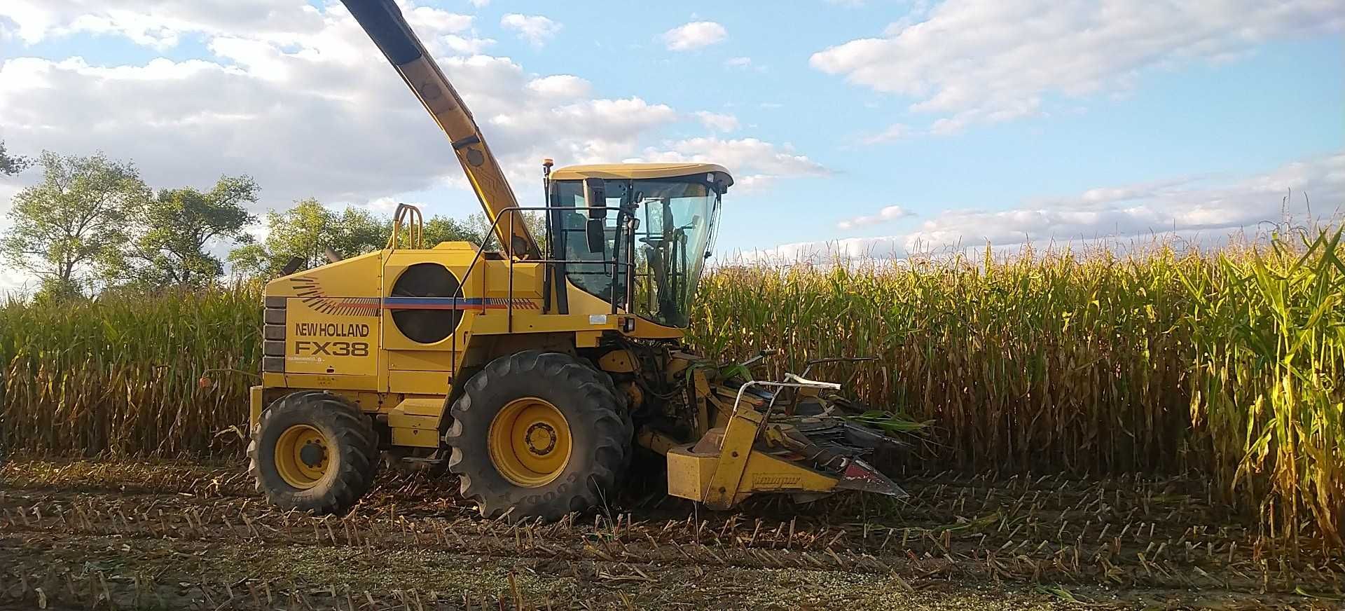 usługowy siew kukurydzy usługi rolnicze
