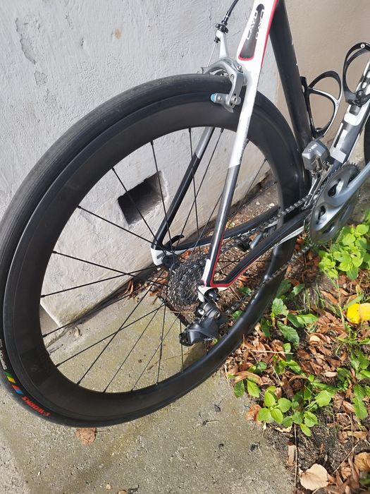 Rower szosowy Focus Cayo Carbon Specialized Shimano Ultegra Di2 Campag