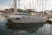 Łódź motorowa Sea Ray 315