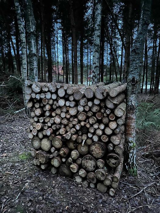 Drewno opałowe i kominkowe