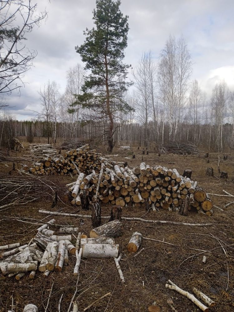 Продам дрова твердых и мягких пород