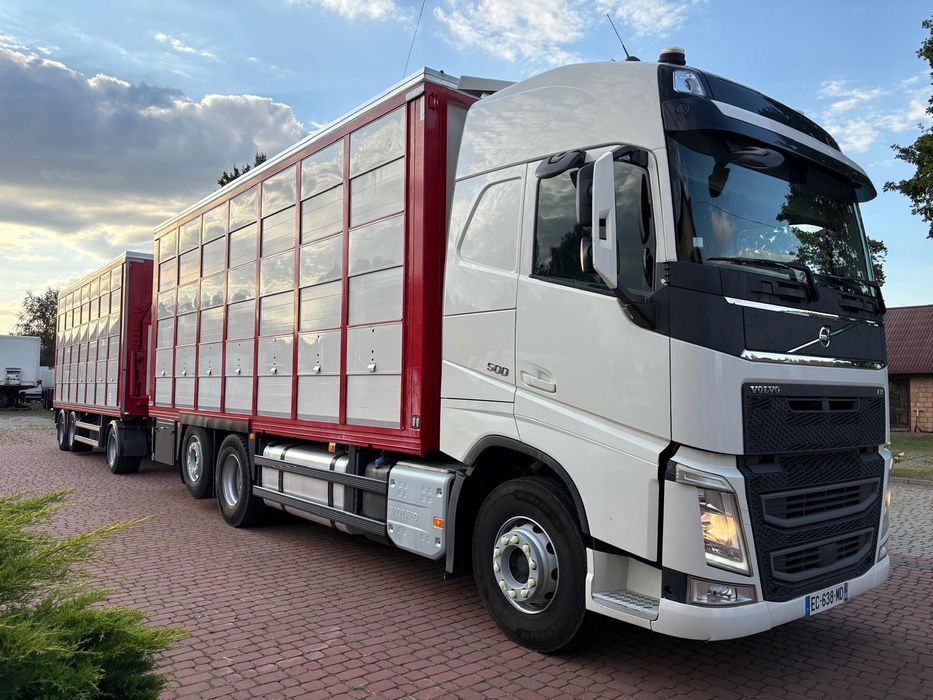 Volvo FH 500* DO BYDŁA ŚWIŃ ŻYWCA* GUITTON* DACH PODNOSZONY* 3 POKŁADY* SUPER STAN*  FH 500* Do Bydła Świń Żywca* GUITTON* DACH PODNOSZONY* 3 POKŁADY* SUPE