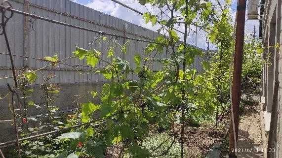 (13) Продам будинок в с. Великий Дальник (3 квартал)