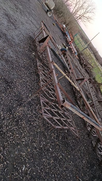 Бороносцепка у хорошому стані