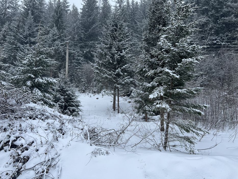 Продам зимельну ділянку в Карпатах