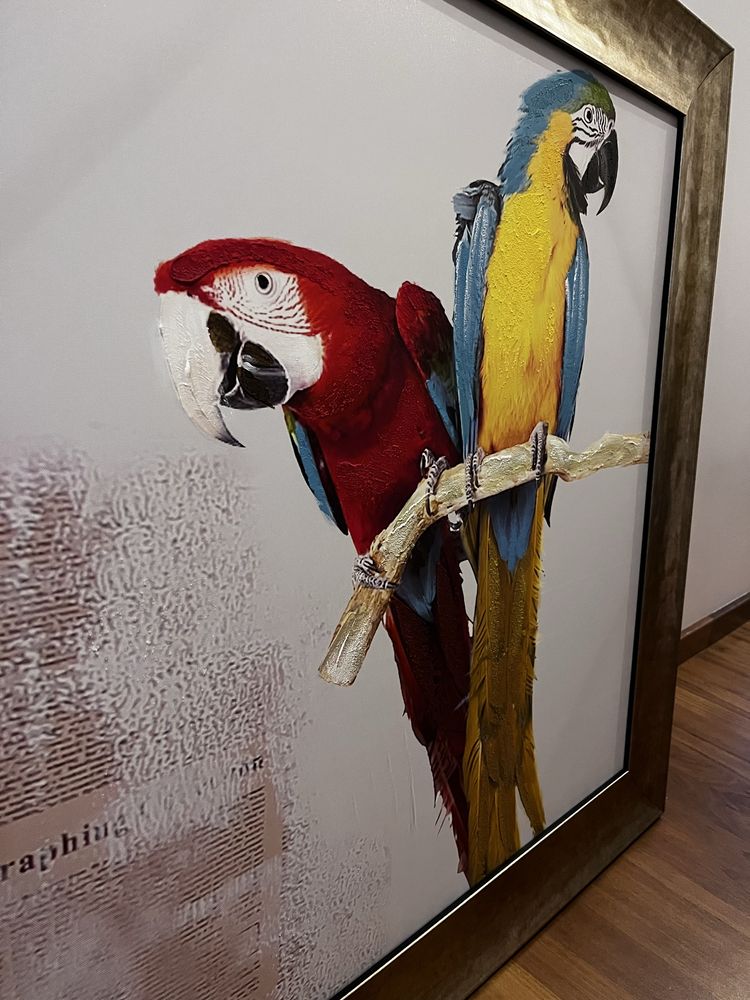 Quadro papagaios