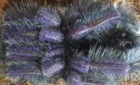 Avicularia purpurea - samiec