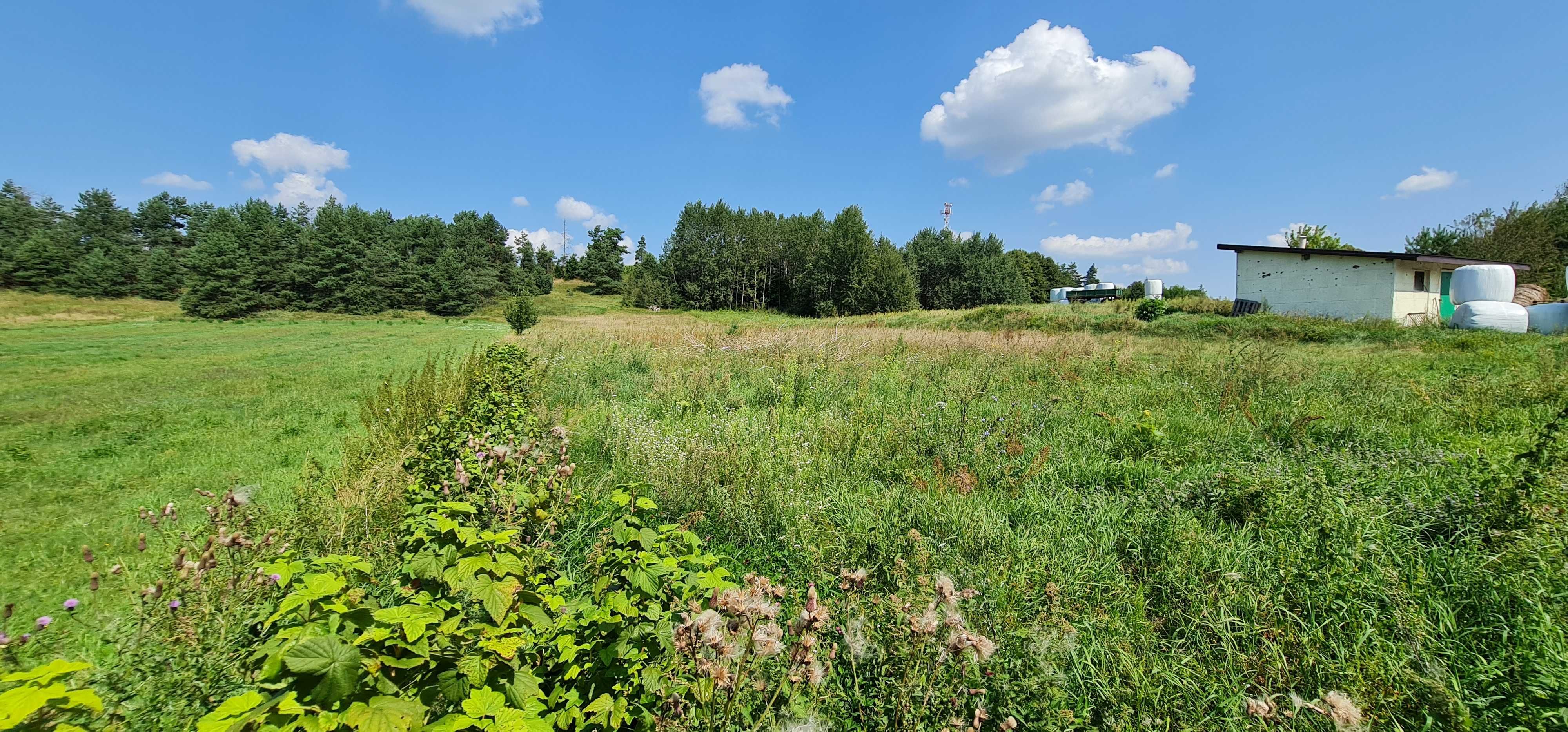 Siedlisko blisko Łomży, działka 0,51ha, dom 120m2, stodoła 200m2