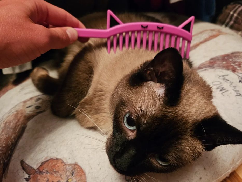 Pente para Gatos "Purrfect Comb"