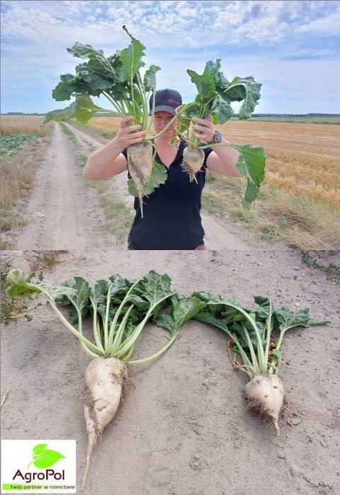 Agro-Sorb FOLIUM Aminokwasy Biostymulator Nawóz Odżywka