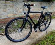 Rower trekking Epple 29 Race King