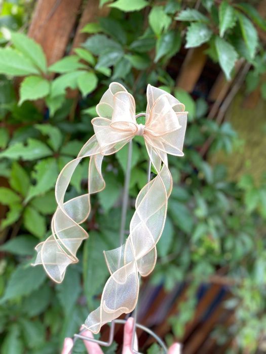 Банти в школу та садочок