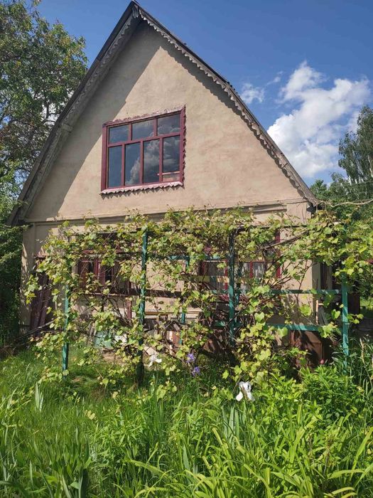 Продам дачу біля лісу,ставка Петрик