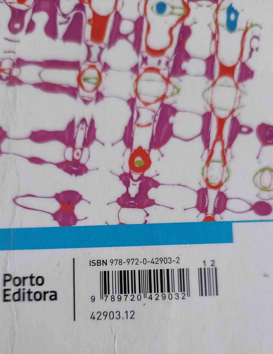 Máximo 11 - manual de Matemática