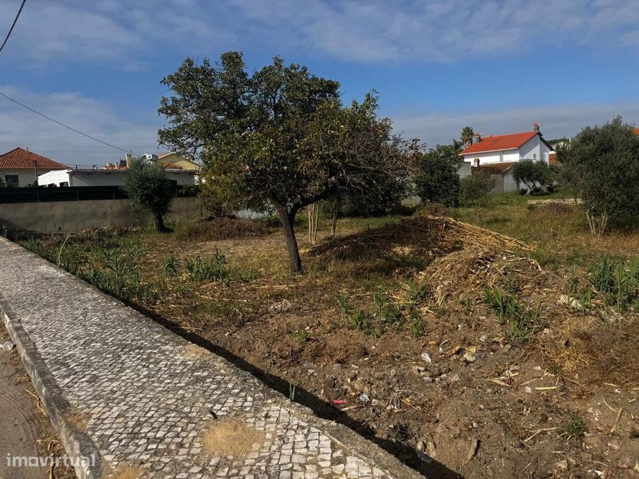 6 Casas Térreas + Terreno Urbano à Venda em Sobreda - Excelente opo...