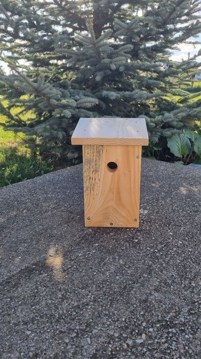 Budka, karmiki dla ptaków