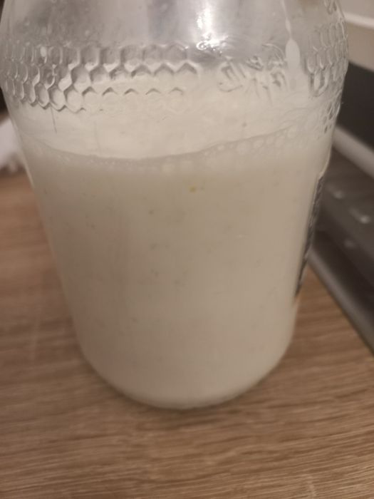 Grzybek tybetański kefirowy