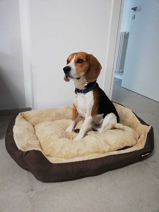 Legowisko dla psa kota posłanie poduszka zwierzęta pies kot NOWE