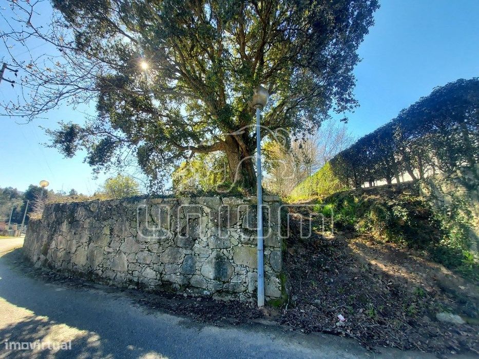 LOTE - Vale dos Esquilos, Venade - Caminha
