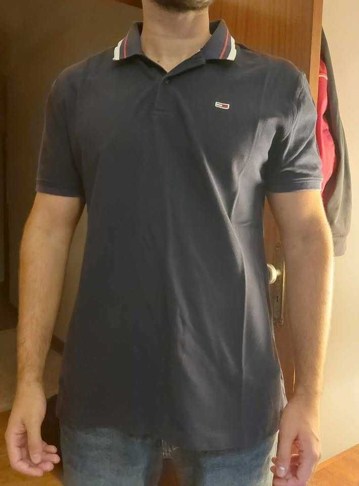 Tshirts e Polos - Lacoste / Tommy Hilfiger / Calvin Klein / Fred Perry