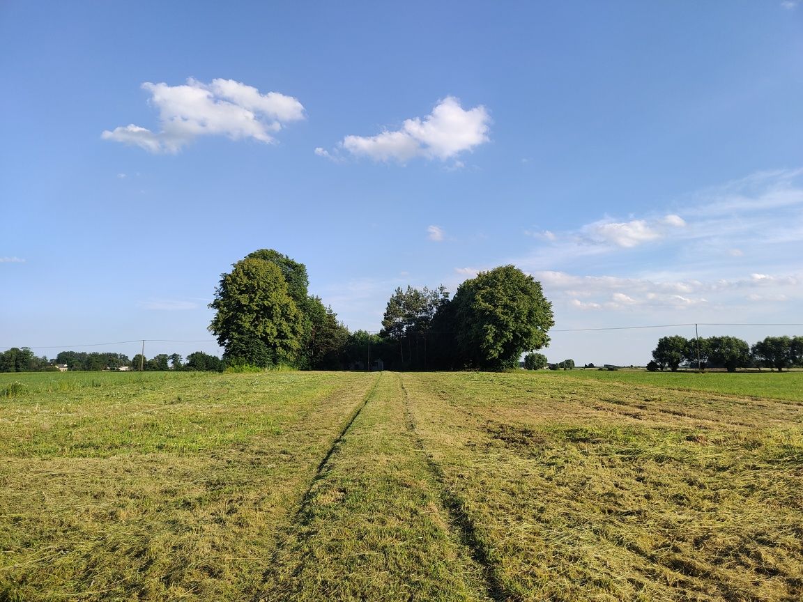 Działka rolna - siedlisko