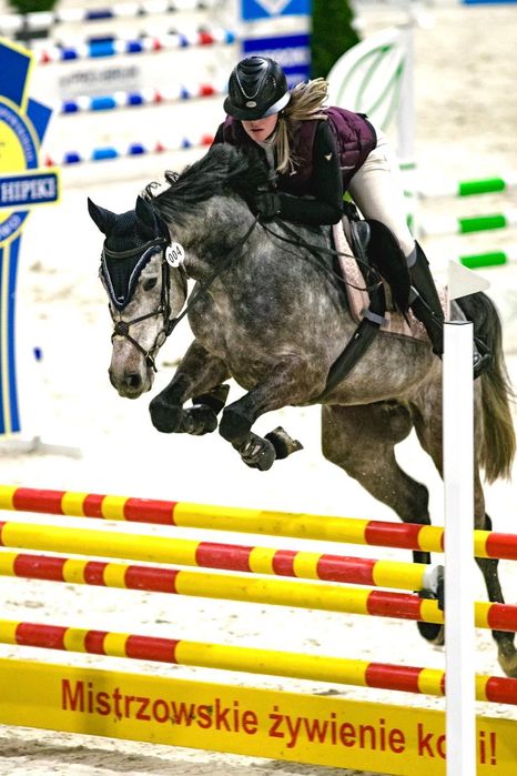 Przyszłościowych wałach do sportu