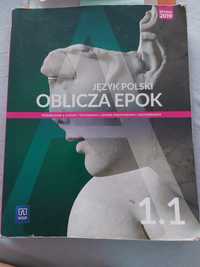 Język polski 1.1 oblicza epok