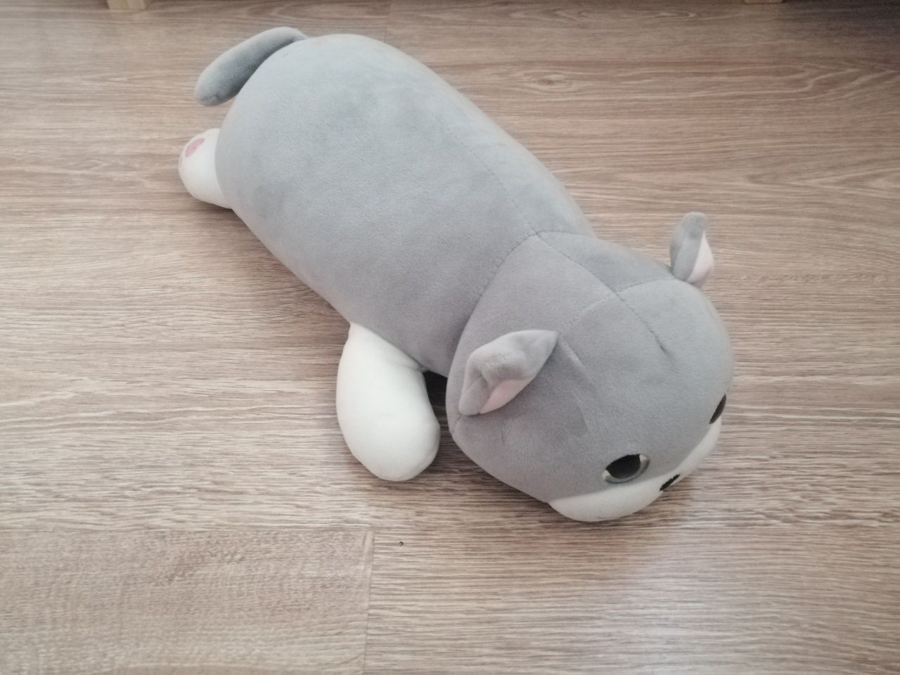 Pluszak kotek sinsay, wałek 48 cm